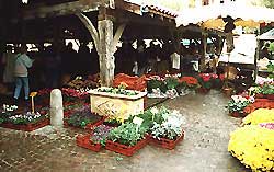 le marché de Revel (cliché : Sylvie Robin - cliquez pour voir un agrandissement)